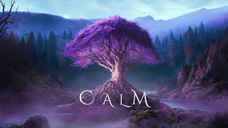 CALM | Beautiful Relaxing Ambient Music for Stress Relief and Calmness - Fantasy Ambient Relaxation