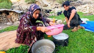 Milking goats and making nomadic dinner: life of Iranian nomads