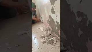 HOW TO REPAIR DAMP WALL #shorts