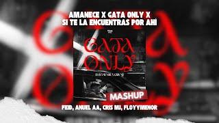 Feid, Anuel AA, Cris MJ - Si Te La Encuentras Por Ahí x Amanece x Gata Only (David Farré Mashup)