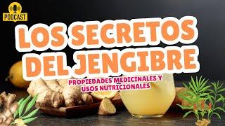 Los Secretos del Jengibre: Propiedades Medicinales y Usos Nutricionales