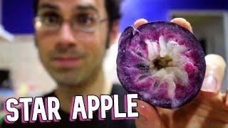 Star Apple & Malay Apple - Surprising Finds in Costa Rica! (Caimito) - Weird Fruit Explorer