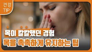 [건강팁] 사계절 내내 목을 촉촉하고 건강하게 유지하는 꿀팁! (목이 칼칼할때 원인과 해결법) "Causes and Solutions for a Scratchy Throat"