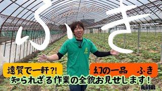 今回は遠賀町で伝統野菜「ふき」を作っている白木孝志さんを紹介します！なかなか見ることのできない植え付け作業を取材させてもらいました！　　＃遠賀町　＃遠賀ふき　＃伝統野菜　＃JA青年部