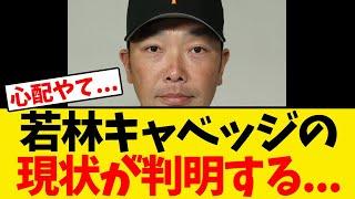 【巨人】阿部監督、キャベッジ＆若林の現状明かす・・・