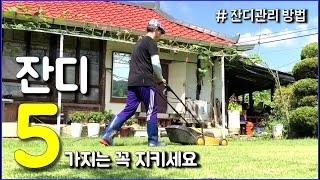 푸른 잔디마당은 5가지를 필수로 성실히 해야 얻을 수 있다 / countryside, grass yard, grass management