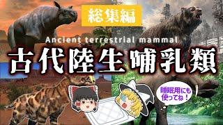 【睡眠用・ゆっくり解説】古代の哺乳類 総集編【広告最初のみ　途中広告なし】