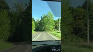 forest road in Poland shorts