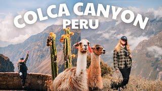 2 day Colca Canyon tour  Peru travel vlog