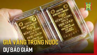 Giá vàng trong nước dự báo giảm | Tin tức