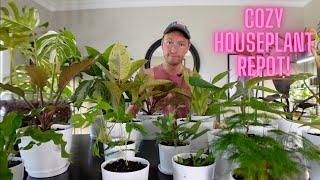 Relaxing Houseplant Repot! | URBAN FARMBOYS