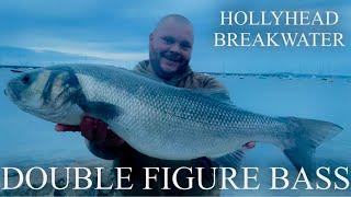 HUGE BASS! Holyhead Breakwater U.K. Sea Fishing