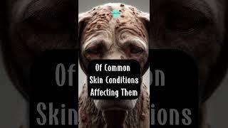 Common Skin Disease in Dogs! | #dogs #pethealth #doghealth