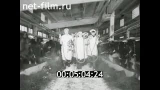 1984г. госплемзавод Петровский. поселок Петровское Приозерский район Ленинградская обл