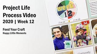 Project Life Process Video | 2020 Week 12 | FYC | Happy Little Moments