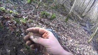 Metal detecting - CRAZY Live! My Best find U.K -ROMAN GOLD coin, with XP DEUS-music by Synaulia