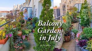 Apartment Balcony Garden | July Tour