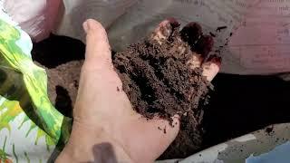 What is the difference between Compost & Mulch?/Garden Style nw