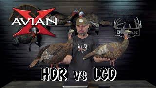 Avian X | HDR vs LCD Turkey Decoys