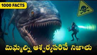 Top 1000 Interesting Facts In Telugu - Facts Forever