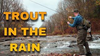 FLY FISHING for TROUT in a MONSOON