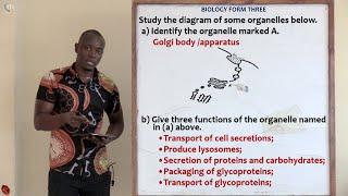 Part 3; Biology Form 3 Revision