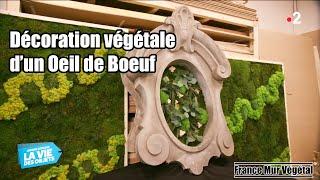 Décoration végétale d’un Œil de Bœuf dans l’émission Affaire Conclue La Vie des Objets sur France2