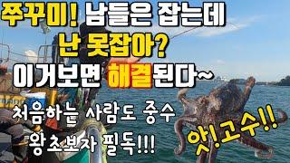 쭈꾸미 낚시는 센스다ㅣ초보자분들 필독ㅣ쭈꾸미 잘 잡고 싶으면 필독ㅣ감 잡아주는 영상ㅣ반찬거리 해결