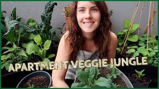 Apartment Veggie Garden Tour!   Self Sufficiency in 2020