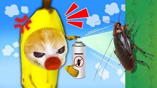 Banana Cat's Epic Struggle Against The Scary Cockroach!  Baby Banana Cat Compilation | Cat MEME 