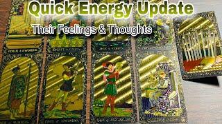 Hindi-Urdu  Quick Energy Update  Their Feelings & Thoughts  Timeless Tarot 