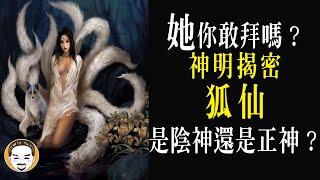 【老王說】她...你敢拜嗎？拜了桃花會超好?｜神明揭密-狐仙-是陰神還是正神？