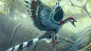 [Doku] Tierische Flugpioniere - Die Evolution des Fliegens [HD]