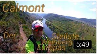 Calmont -  Von Bremm aus zum Steilsten Weinberg Europas