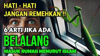 6 ARTI JIKA ADA BELALANG MASUK RUMAH MENURUT ISLAM, HATI HATI JANGAN REMEHKAN