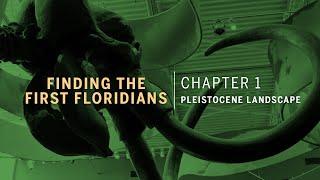 The Pleistocene Landscape in Florida: chapter 1 of Finding the First Floridians