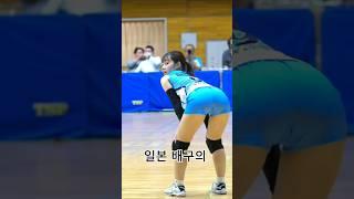 일본 배구 "귀여운 수비요정" Rizu Daimon #배구 #volleyball