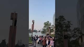 Afternoon free flight of Macaw and Conures at Spark Mall Jakarta - 4