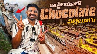 Koala Conservation  | Chocolate Factory | Little Penguin  | Uma Telugu Traveller