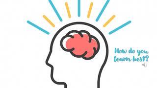 How do you learn best