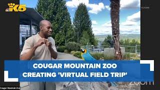 Cougar Mountain Zoo creating free 'virtual field trip' for students