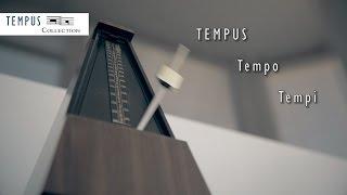 TEMPUS Theory