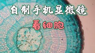 【脑洞】超低成本制作一个手机显微镜，以后拍记录片会用的上！