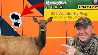 300 Weatherby Magnum for Elk??? + Bullet Drop Explained