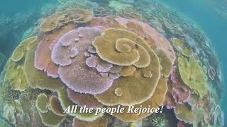 The Great Barrier Reef is doomed. Watch the curve of disaster.