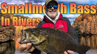 Smallmouth Bass Fall Migration in Rivers