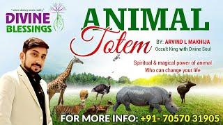 ANIMAL TOTEM FREE DIVINE BLESSINGS CLASS