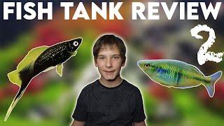 Lazarus the fish boy Fish Tank Review #2