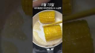 2024년 8월 지멋 쇼츠 모음집