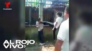 En video: Estudiante ataca a compañero con golpes de karate en Chiapas